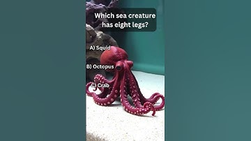 General Knowledge Quizz Part 9