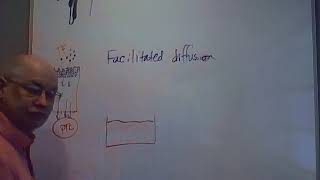 Professor Long - Urinary Lect. 4, Tubular Reabsorption, Secretion, Loop of Henle, Micturition Reflex