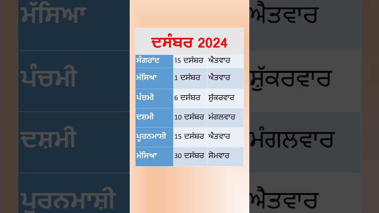 December 2024 | Masya in December 2024 