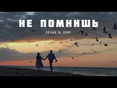 SEVAK & JONY — Не помнишь | Музыка 2023