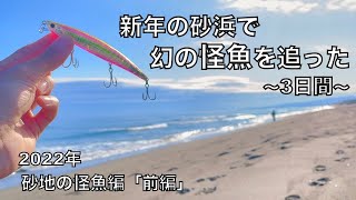 サーフの巨大魚を釣り上げるべく戦った日々（2022年砂地の怪魚編前編）【車中泊釣り旅第三弾・西日本&九州編8話】