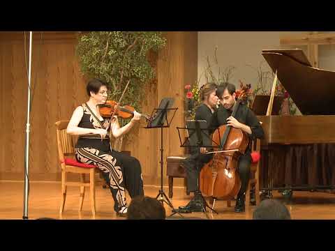 Chausson - Piano Trio in G Minor, Op. 3 I. Pas trop lent - animé