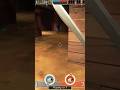 #teamfortres2 #teamfortress2 #gamingshorts