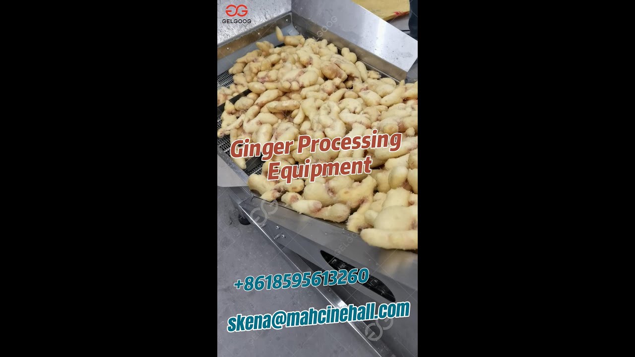 Ginger Washing Peeling And Dicing Production Line
