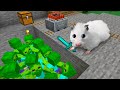 🧟 Hamster vs Zombies 🐹 Minecraft Hamster Maze
