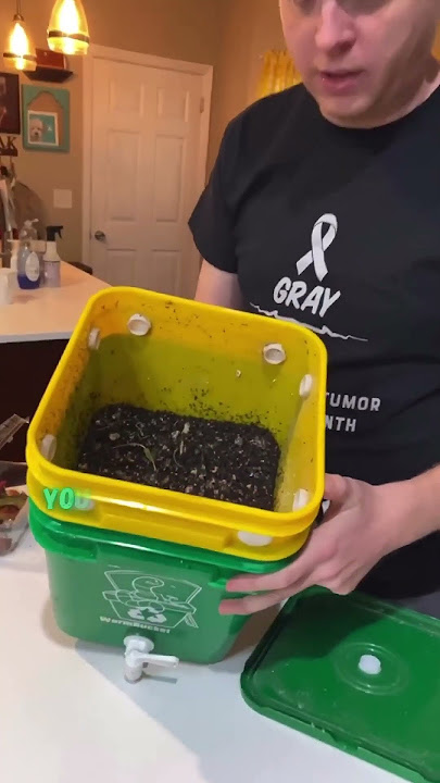 Worm Bucket? Indoor Composter Kit 