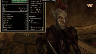 How to get infinite amount of gold in Morrowind 1.0 How To Get Unlimited Gold In Morrowind Pc Version Console Command