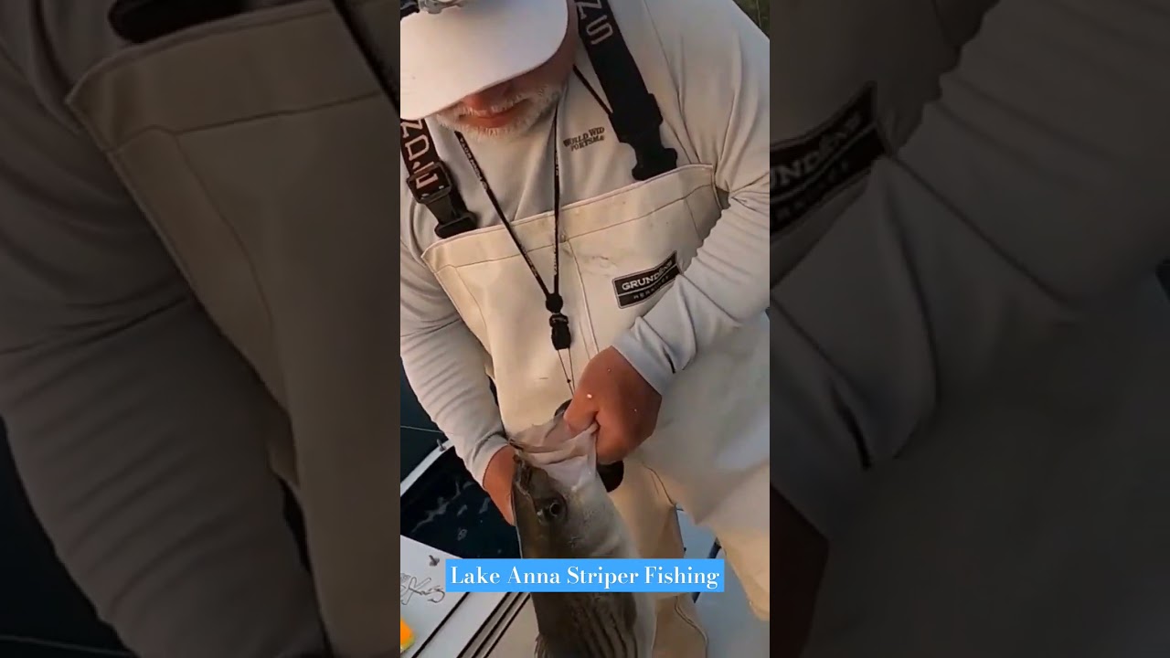 Throwback Thursday | Lake Anna Striper Fishing 