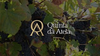 Quinta da Atela - Vídeo Institucional