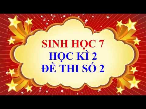 Video Sinh học lớp 7 - Học kì 2 - Đề thi số 2 - YouTube