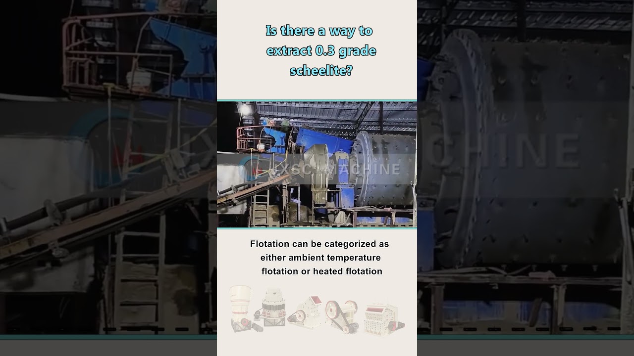 Существует ли способ извлечь шеелит с содержанием 0,3%?