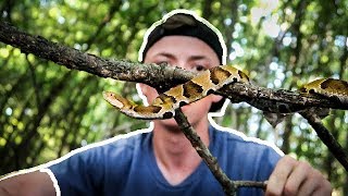 Crazy close to VENOMOUS Copperhead Snake!! | Our Airplane Broke Down! Copperhead Snakes Hiding In Plain Site