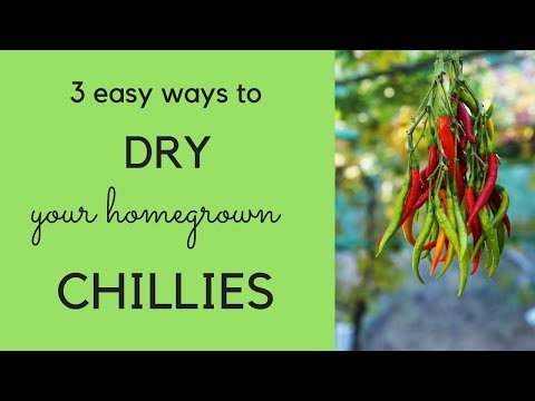 How to dry chillies - three easy