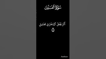 سورة الفيل Surah Al-Fil القرآن الكريم #راحة_نفسية 105 #القران #islamicprayer #الخشوع #quran