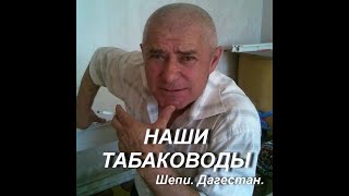 НАШИ ТАБАКОВОДЫ . ШЕПИ . ДАГЕСТАН .