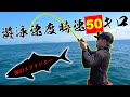 時速50キロで泳ぐ強烈な引きの魚がかかった！！