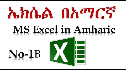 1B Microsoft Excel for Beginners-Basic Tutorial in Amharic Insert Modify Change Use Charts Ethio LiQ