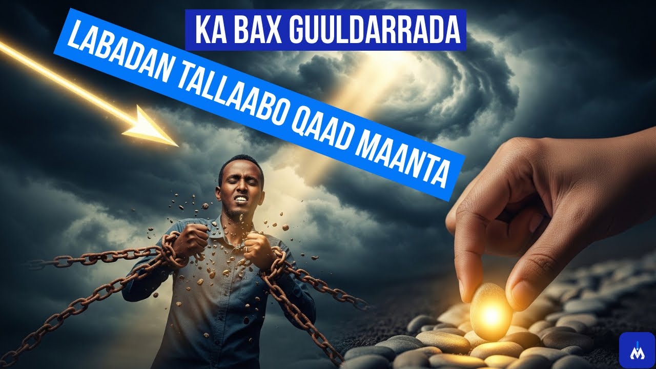 Labada Sir Ee Noloshayda Ka Saaray Guuldarrada 🔑