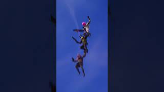 Bugs, Lola and Daffy are bringing dream team vibes to the island. Just don't call them The Ducks.