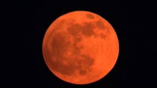 Full Moonrise (Partial Lunar Eclipse) / Vollmondaufgang (Partielle Mondfinsternis)