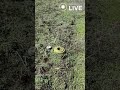 рџ ґрџ ґрџ ґР РЅРµС РєРѕРґРёР Рё РјС РЅРЅРµ РїРѕР Рµ рџ ґрџ ґрџ ґР РЅРµС РєРѕРґРёР Рё РјС РЅРЅРµ РїРѕР Рµ