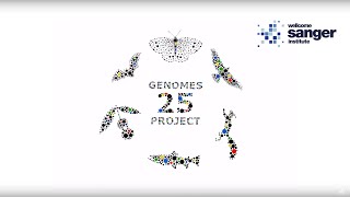 Sanger Institute  25 Genomes for 25 Years Introduction