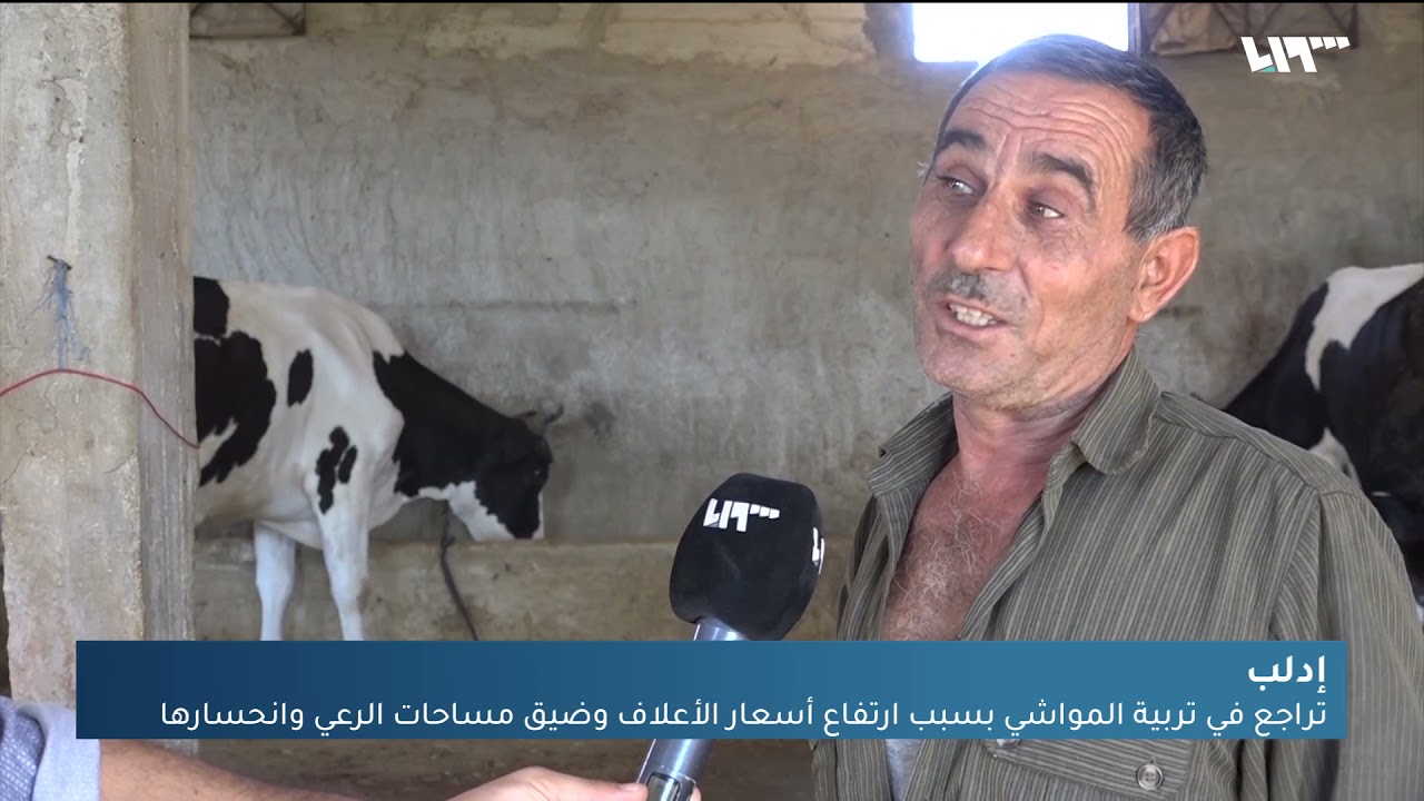 مربو المواشي في إدلب مهددون بخسارة أرزاقهم