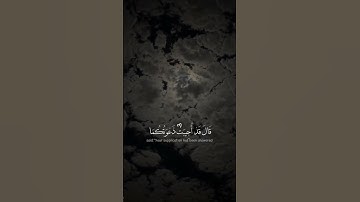 قال قد اجيبت دعوتكما فاستقيما ولا تتبعان سبيل الذين لا يعلمون سورة يونس #قرآن  #قران_كريم