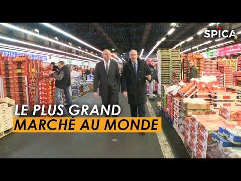 Rungis : Au cœur du plus grand marché au monde