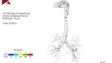 Regional deposition of inhaled particles in human lungs using Rocky DEM