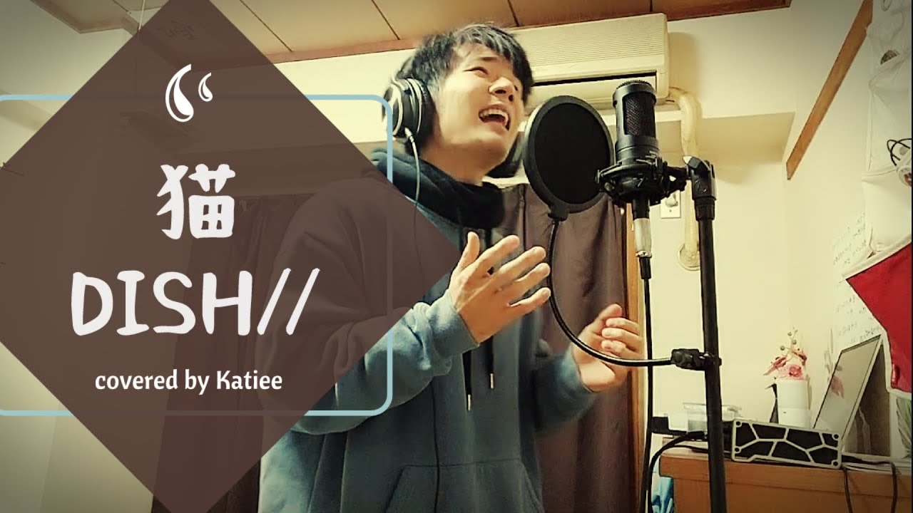 DISH// 猫 歌ってみた cover - YouTube