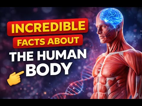 10 Incredible Facts About the Human Body | The Most Amazing Machine on ...