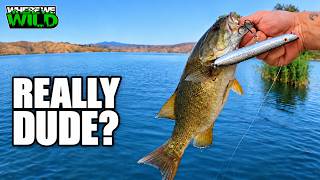 This Is Why Fishing Never Gets Old | Castaic Lake