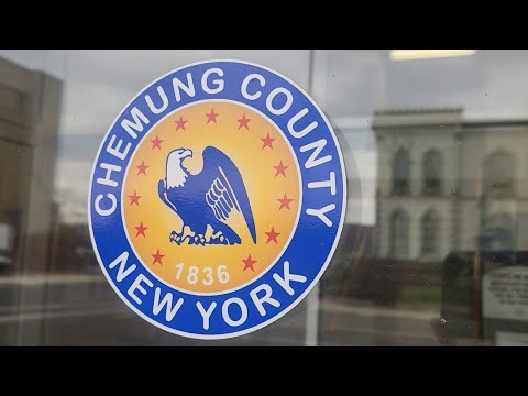 Viral Outrage Follows DEC Euthanization of Internet-Famous Squirrel