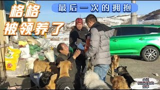 20201220  Dog rescue in China   狗市救的格格 被領养了为了她以后的幸福全家人都忍著伤心