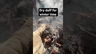 Pile Burning - Mop Up