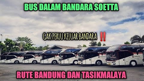 Inilah Bus Langsung Dari Bandara Soekarno Hatta Menuju Kota Bandung Dan Tasikmalaya
