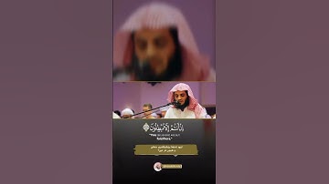 القارئ رعد الكردي | سورة الروم