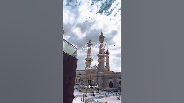 Surah Ash-Shu'ara  سورة الشعراء