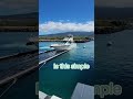 Docking Your boat in the Solstice SeaPen Dry Dock is Really. This. Simple.