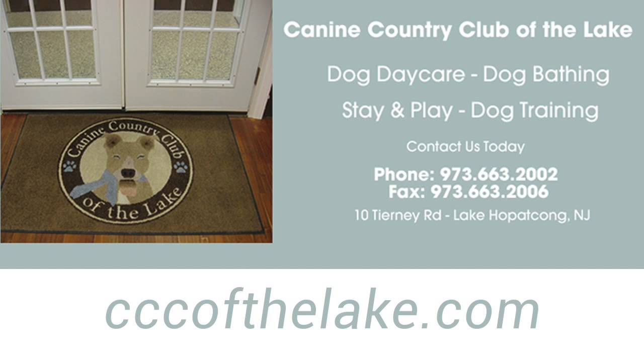 Dog Hotel Lake Hopatcong NJ YouTube