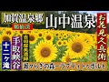 石川県加賀温泉郷 山中温泉 お花見久兵衛