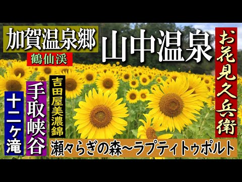 石川県加賀温泉郷 山中温泉 お花見久兵衛