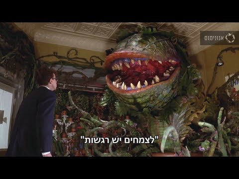 וִידֵאוֹ: האם הבשר בעציץ של ליבי הופסק?