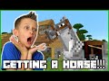 GETTING A HORSE!