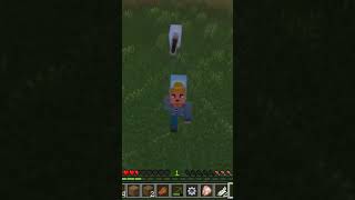 Bante e la pecora 😂❤️, video su Minecraft horror nel canale vallo a vedere