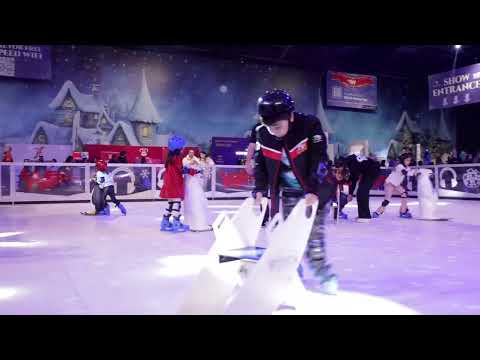 Synthetic Ice Skating