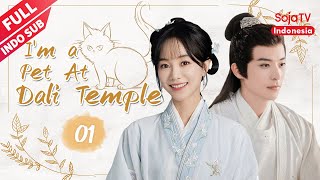 I'm a Pet At Dali Temple【INDO SUB】EP1 Renton Xu, Hu Yi Xuan | SojaTV Indonesia