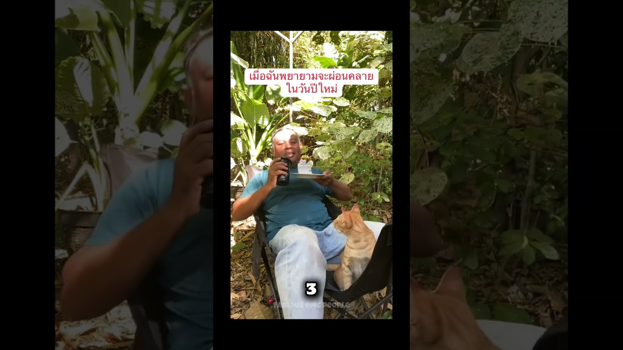 Wholesome Fails: This Random Clip Went From Normal to Comedy Fast 😂