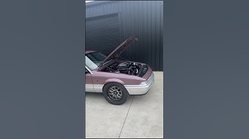 VL Calais with a Big-Block Chev #bigblock #bbc #v8 #holden #commodore #calais #vl #nz #tuff